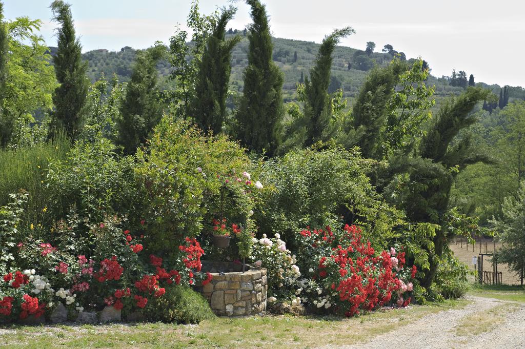 La Buca Di Montauto Hotel San Gimignano Exterior photo